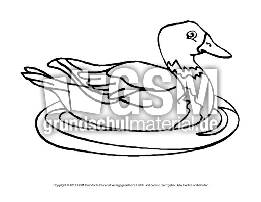 Ausmalbilder-Stockente 15.pdf